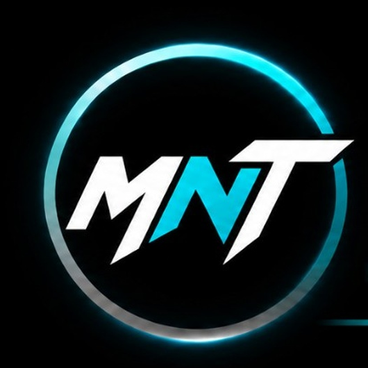 Mintar Tints